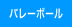 バレーボール用品