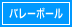 バレーボール用品